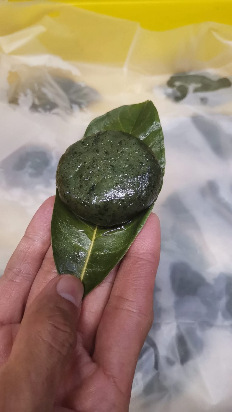 Daun Rami (Green Bean)